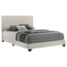 Dorian - Upholstered Panel Bed – Upholstered Beds by CoasterEveryday at Furniture Wholesale Plus , Nashville furniture store