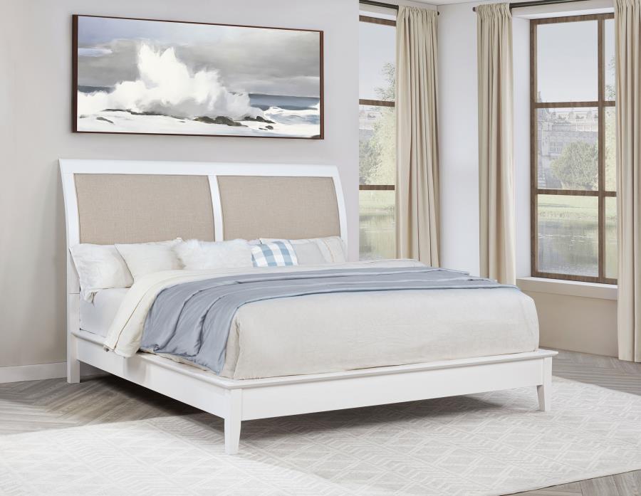 Bexhill - 56" Upholstered Panel Bed – Upholstered Beds by Coaster Fine Furniture at Furniture Wholesale Plus , Nashville furniture store