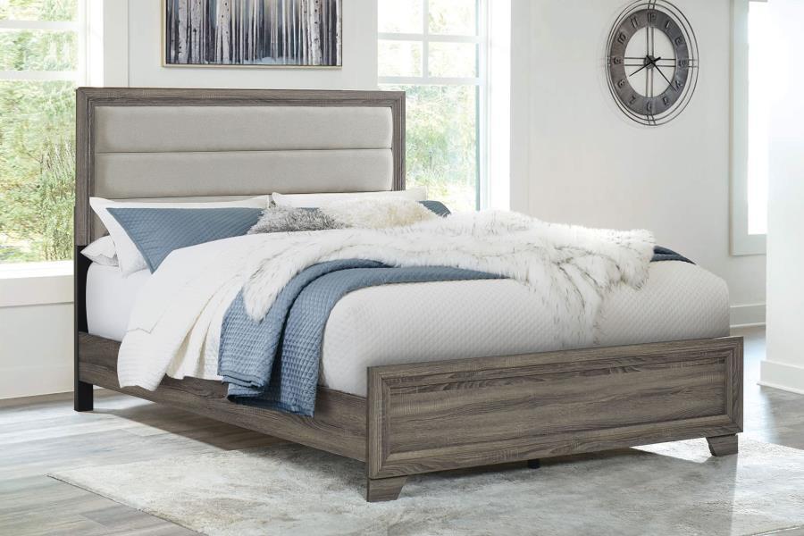 Wright - Upholstered Bed – Upholstered Beds by Coaster Fine Furniture at Furniture Wholesale Plus , Nashville furniture store