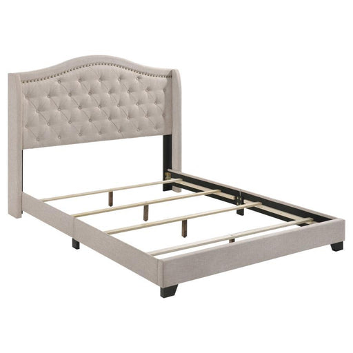Sonoma - Upholstered Wingback Bed – Upholstered Beds by CoasterEssence at Furniture Wholesale Plus , Nashville furniture store