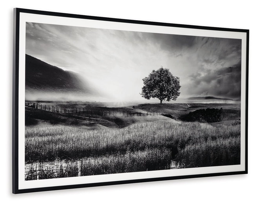 Deborland - Wall Art - Black / White – Framed Prints by Signature Design by Ashley® at Furniture Wholesale Plus , Nashville furniture store