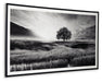 Deborland - Wall Art - Black / White – Framed Prints by Signature Design by Ashley® at Furniture Wholesale Plus , Nashville furniture store