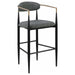 Tina - Metal Pub Height Bar Stool With Upholstered Back And Seat (Set of 2) - Premium Stool Sets from Coaster Fine Furniture - Just $429! Shop now at Furniture Wholesale Plus  We are the best furniture store in Nashville, Hendersonville, Goodlettsville, Madison, Antioch, Mount Juliet, Lebanon, Gallatin, Springfield, Murfreesboro, Franklin, Brentwood