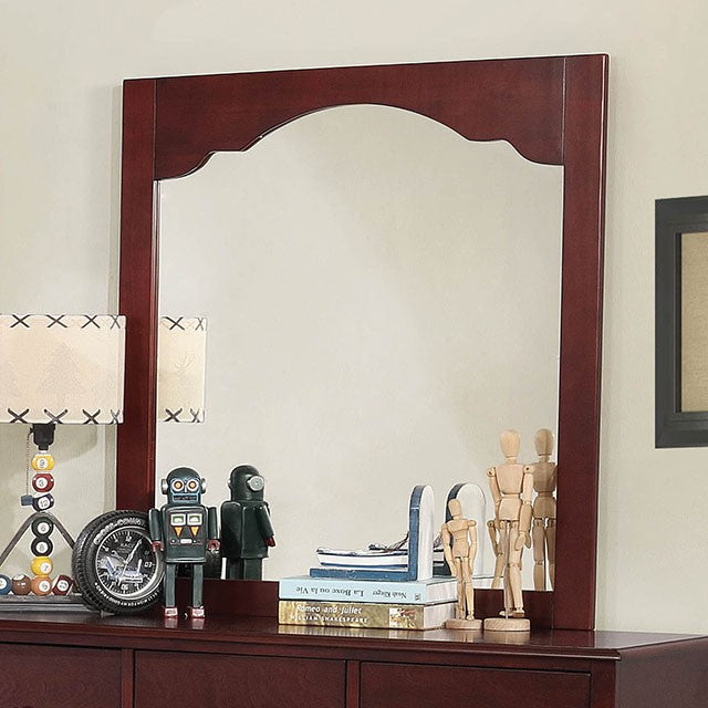 Diane Mirror - Premium Mirror from FOA East - Just $130.65! Shop now at Furniture Wholesale Plus  We are the best furniture store in Nashville, Hendersonville, Goodlettsville, Madison, Antioch, Mount Juliet, Lebanon, Gallatin, Springfield, Murfreesboro, Franklin, Brentwood