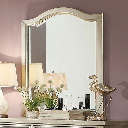 Adeline Mirror - Premium Mirror from FOA East - Just $122.85! Shop now at Furniture Wholesale Plus  We are the best furniture store in Nashville, Hendersonville, Goodlettsville, Madison, Antioch, Mount Juliet, Lebanon, Gallatin, Springfield, Murfreesboro, Franklin, Brentwood