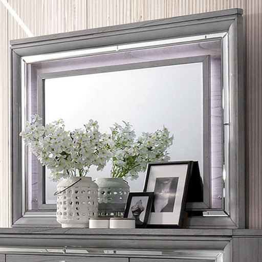 Alanis Light Gray Mirror - Premium Mirror from FOA East - Just $273! Shop now at Furniture Wholesale Plus  We are the best furniture store in Nashville, Hendersonville, Goodlettsville, Madison, Antioch, Mount Juliet, Lebanon, Gallatin, Springfield, Murfreesboro, Franklin, Brentwood