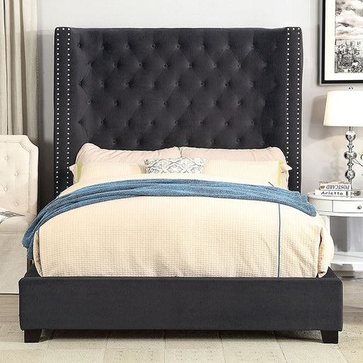 Mirabelle Cal.King Bed - Premium Bed from FOA East - Just $1511.25! Shop now at Furniture Wholesale Plus  We are the best furniture store in Nashville, Hendersonville, Goodlettsville, Madison, Antioch, Mount Juliet, Lebanon, Gallatin, Springfield, Murfreesboro, Franklin, Brentwood