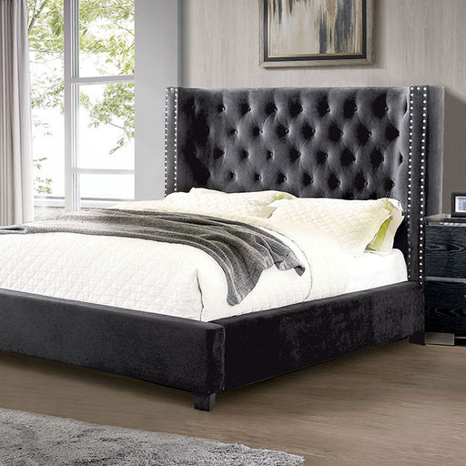 Cayla Cal.King Bed - Premium Bed from FOA East - Just $1234.35! Shop now at Furniture Wholesale Plus  We are the best furniture store in Nashville, Hendersonville, Goodlettsville, Madison, Antioch, Mount Juliet, Lebanon, Gallatin, Springfield, Murfreesboro, Franklin, Brentwood