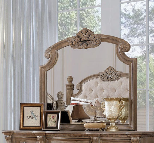 Montgomery Mirror - Premium Mirror from FOA East - Just $333.45! Shop now at Furniture Wholesale Plus  We are the best furniture store in Nashville, Hendersonville, Goodlettsville, Madison, Antioch, Mount Juliet, Lebanon, Gallatin, Springfield, Murfreesboro, Franklin, Brentwood