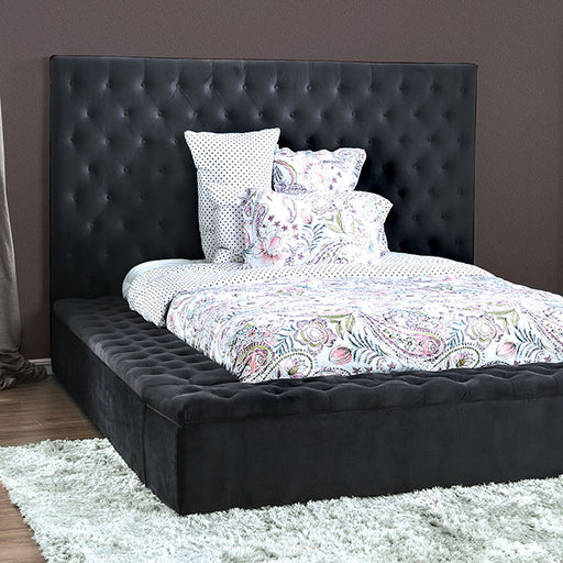 Davida Cal.King Bed - Premium Bed from FOA East - Just $1815.45! Shop now at Furniture Wholesale Plus  We are the best furniture store in Nashville, Hendersonville, Goodlettsville, Madison, Antioch, Mount Juliet, Lebanon, Gallatin, Springfield, Murfreesboro, Franklin, Brentwood