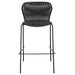 Mckinley - Faux Rattan Metal Chair (Set of 2) - Premium Stool Sets from CoasterEssence - Just $449! Shop now at Furniture Wholesale Plus  We are the best furniture store in Nashville, Hendersonville, Goodlettsville, Madison, Antioch, Mount Juliet, Lebanon, Gallatin, Springfield, Murfreesboro, Franklin, Brentwood