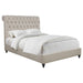 Devon - Upholstered Panel Bed – Upholstered Beds by CoasterEssence at Furniture Wholesale Plus , Nashville furniture store