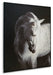 Archerwick - Wall Art - Black / White – Canvas Art by Signature Design by Ashley® at Furniture Wholesale Plus , Nashville furniture store