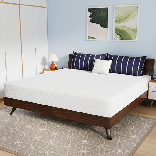 Nasturtium 10" E.King Bamboo Charcoal Infused Memory Foam - Premium Mattress from FOA East - Just $622.05! Shop now at Furniture Wholesale Plus  We are the best furniture store in Nashville, Hendersonville, Goodlettsville, Madison, Antioch, Mount Juliet, Lebanon, Gallatin, Springfield, Murfreesboro, Franklin, Brentwood