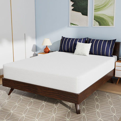 Nasturtium 10" Queen Bamboo Charcoal Infused Memory Foam - Premium Mattress from FOA East - Just $505.05! Shop now at Furniture Wholesale Plus  We are the best furniture store in Nashville, Hendersonville, Goodlettsville, Madison, Antioch, Mount Juliet, Lebanon, Gallatin, Springfield, Murfreesboro, Franklin, Brentwood