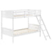 Littleton - Bunk Bed – Bunk Beds by CoasterEveryday at Furniture Wholesale Plus , Nashville furniture store