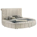 Sonya - Upholstered Round Storage Bed - Premium Storage Beds from Coaster Fine Furniture - Just $1399! Shop now at Furniture Wholesale Plus  We are the best furniture store in Nashville, Hendersonville, Goodlettsville, Madison, Antioch, Mount Juliet, Lebanon, Gallatin, Springfield, Murfreesboro, Franklin, Brentwood