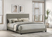 Dorian - Upholstered Panel Bed – Upholstered Beds by CoasterEveryday at Furniture Wholesale Plus , Nashville furniture store