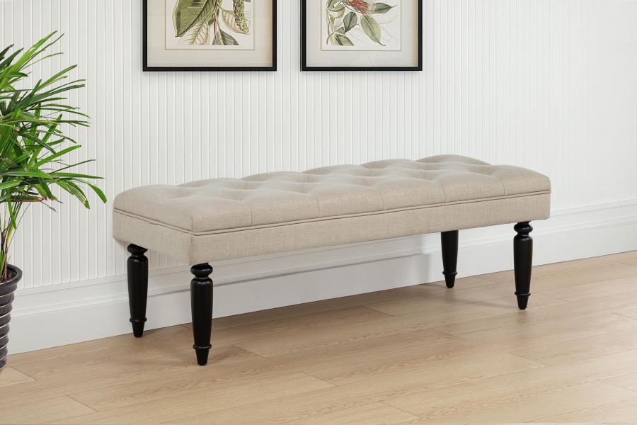 Marsha - 52" Upholstered Entryway Accent Bench - Latte – Upholstered Benches by Coaster Fine Furniture at Furniture Wholesale Plus , Nashville furniture store