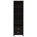 Lewes - 4-Shelf Engineered Wood Media Tower - Cappuccino - Premium Piers from CoasterEssence - Just $249! Shop now at Furniture Wholesale Plus  We are the best furniture store in Nashville, Hendersonville, Goodlettsville, Madison, Antioch, Mount Juliet, Lebanon, Gallatin, Springfield, Murfreesboro, Franklin, Brentwood