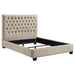 Chloe - Upholstered Panel Bed – Upholstered Beds by CoasterEssence at Furniture Wholesale Plus , Nashville furniture store