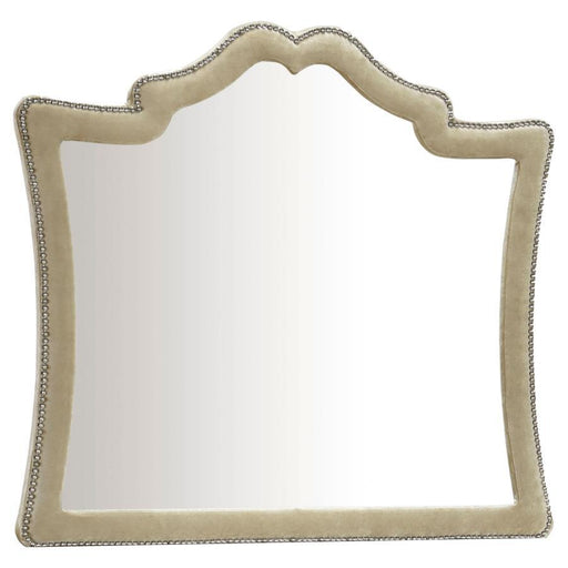 Antonella - Upholstered Dresser Mirror - Premium Bedroom Mirrors from CoasterElevations - Just $229! Shop now at Furniture Wholesale Plus  We are the best furniture store in Nashville, Hendersonville, Goodlettsville, Madison, Antioch, Mount Juliet, Lebanon, Gallatin, Springfield, Murfreesboro, Franklin, Brentwood