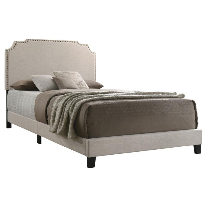 Tamarac - Upholstered Panel Bed – Upholstered Beds by CoasterEveryday at Furniture Wholesale Plus , Nashville furniture store