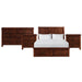 Sullivan - Storage Bedroom Set – 3 Piece Bedroom Sets by Elements International at Furniture Wholesale Plus , Nashville furniture store