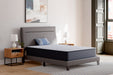 Anniversary Edition Firm - Mattress – Innerspring Mattresses by Ashley Sleep® at Furniture Wholesale Plus , Nashville furniture store