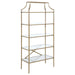 Serena - 5-Shelf Glass Bookshelf - Gold – Standard Bookcases by CoasterEssence at Furniture Wholesale Plus , Nashville furniture store