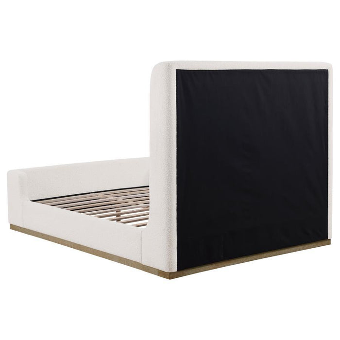 Nala - Upholstered Sleigh Bed – Sleigh Beds by Coaster Fine Furniture at Furniture Wholesale Plus , Nashville furniture store