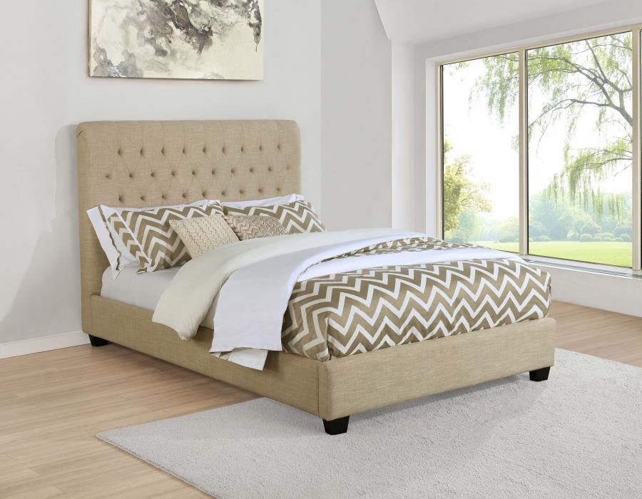 Chloe - Upholstered Panel Bed – Upholstered Beds by CoasterEssence at Furniture Wholesale Plus , Nashville furniture store