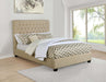 Chloe - Upholstered Panel Bed – Upholstered Beds by CoasterEssence at Furniture Wholesale Plus , Nashville furniture store