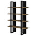 Danbrook - Bookcase - Premium Standard Bookcases from CoasterEveryday - Just $269! Shop now at Furniture Wholesale Plus  We are the best furniture store in Nashville, Hendersonville, Goodlettsville, Madison, Antioch, Mount Juliet, Lebanon, Gallatin, Springfield, Murfreesboro, Franklin, Brentwood