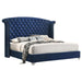 Melody - Upholstered Wingback Bed – Upholstered Beds by CoasterEveryday at Furniture Wholesale Plus , Nashville furniture store