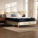 Dreamcloud Classic Memory Foam - Queen Mattress - White – Memory Foam Mattresses by Dreamcloud at Furniture Wholesale Plus , Nashville furniture store