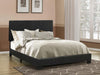 Dorian - Upholstered Panel Bed – Upholstered Beds by CoasterEveryday at Furniture Wholesale Plus , Nashville furniture store