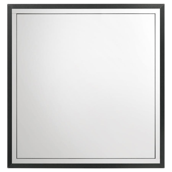 Lucia - Dresser Mirror – Mirrors by Coaster Fine Furniture at Furniture Wholesale Plus , Nashville furniture store