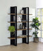 Danbrook - Bookcase - Premium Standard Bookcases from CoasterEveryday - Just $269! Shop now at Furniture Wholesale Plus  We are the best furniture store in Nashville, Hendersonville, Goodlettsville, Madison, Antioch, Mount Juliet, Lebanon, Gallatin, Springfield, Murfreesboro, Franklin, Brentwood
