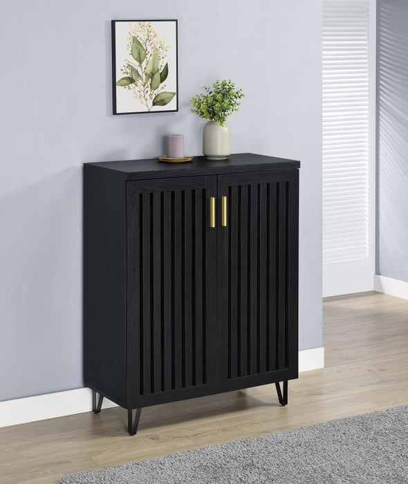 Brixton - 2-Door Entryway Shoe Storage Cabinets – Accent Cabinets by Coaster Fine Furniture at Furniture Wholesale Plus , Nashville furniture store