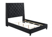Chantilly - Upholstered Bed – Upholstered Beds by Crown Mark at Furniture Wholesale Plus , Nashville furniture store