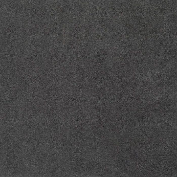 Alamor - Upholstered Barrel Back Accent Chair - Dark Gray - Premium Accent Chairs from CoasterElevations - Just $579! Shop now at Furniture Wholesale Plus  We are the best furniture store in Nashville, Hendersonville, Goodlettsville, Madison, Antioch, Mount Juliet, Lebanon, Gallatin, Springfield, Murfreesboro, Franklin, Brentwood