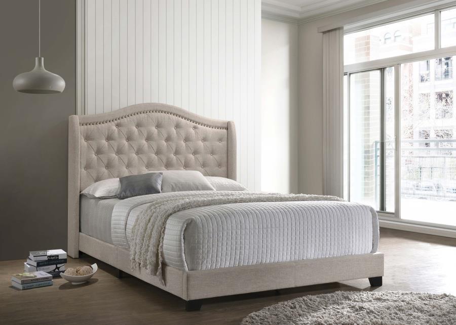 Sonoma - Upholstered Wingback Bed – Upholstered Beds by CoasterEssence at Furniture Wholesale Plus , Nashville furniture store