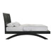 Allan - Bed – Panel Beds by Elements International at Furniture Wholesale Plus , Nashville furniture store