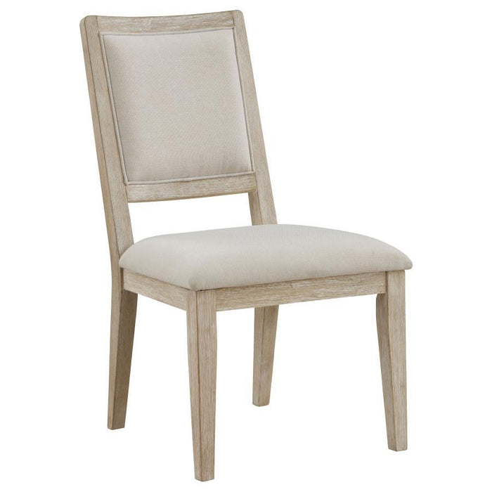 Trofello - Cushioned Dining Side Chair (Set of 2) - White Washed – Chair Sets by Coaster Fine Furniture at Furniture Wholesale Plus , Nashville furniture store