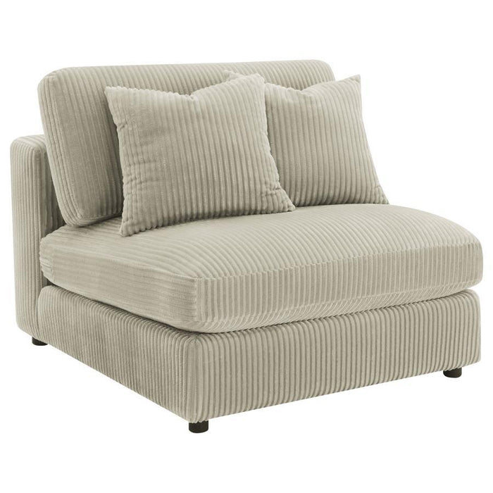 Blaine - Upholstered Armless Chair - Premium Armless Chairs from Coaster Fine Furniture - Just $509! Shop now at Furniture Wholesale Plus  We are the best furniture store in Nashville, Hendersonville, Goodlettsville, Madison, Antioch, Mount Juliet, Lebanon, Gallatin, Springfield, Murfreesboro, Franklin, Brentwood