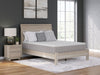 Terra Sleep Medium - Mattress – Hybrid Mattresses by Sierra Sleep® by Ashley at Furniture Wholesale Plus , Nashville furniture store