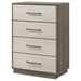 Fenwick - 4-Drawer Chest Of Drawers - Gray Oak – Accent Chests by Coaster Fine Furniture at Furniture Wholesale Plus , Nashville furniture store