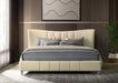 Evelyn - Upholstered Panel Platform Bed – Upholstered Beds by Coaster Fine Furniture at Furniture Wholesale Plus , Nashville furniture store