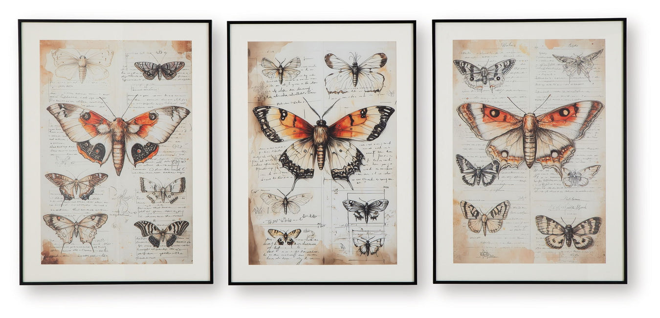Framed Print Sets